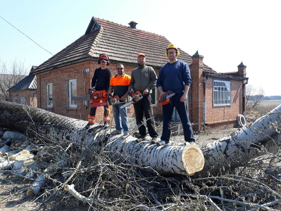 Спиляти дерево спил дерев аварійні дерева  бензопильщик лісоруб