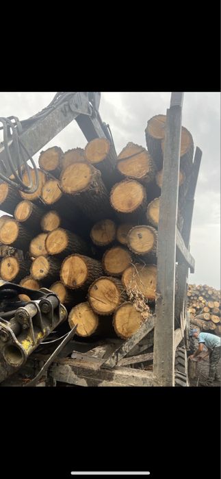 Покупець Дуб кругляк пиловник дошка дубова