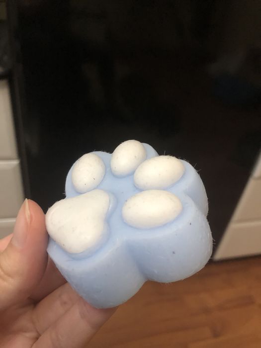 Табо лапка , лапка котика, сквіш