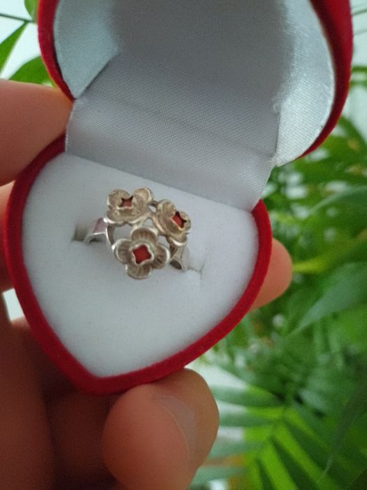 Niezapominajki Warmet