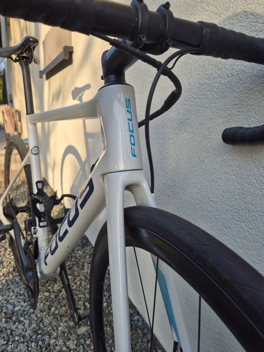 FOCUS ISALCO 8.9 carbon r.56