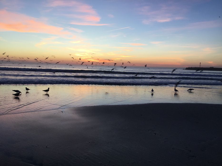 Férias à beira-mar, em Vila Praia de Âncora.