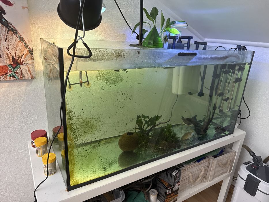 Aquario 200 litros