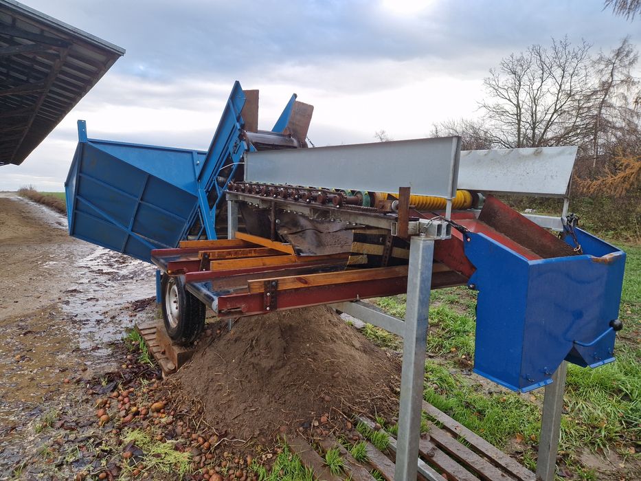 Sortownik do ziemniaków