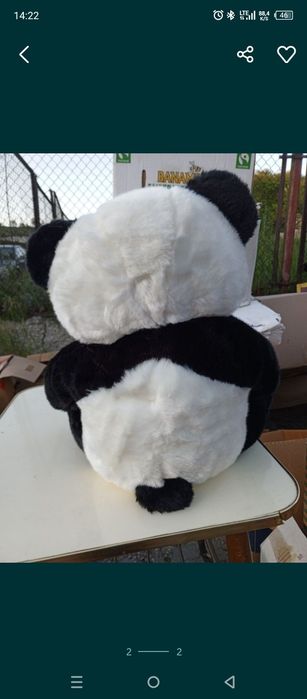 Sprzedam maskotkę panda