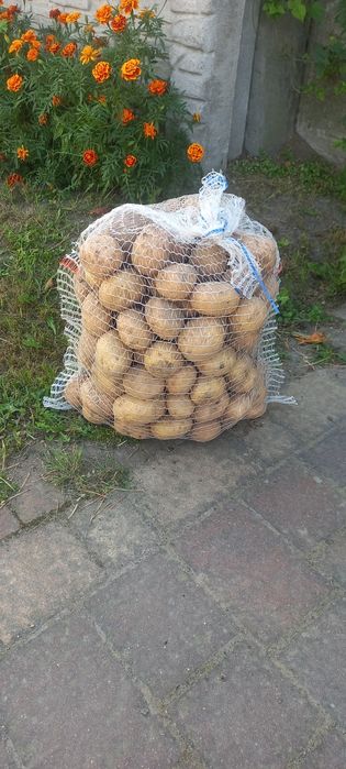 Sprzedam ziemniaki