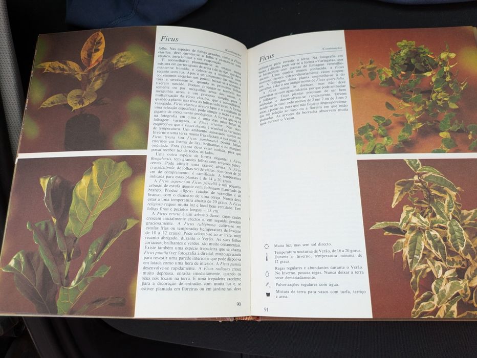 O Livro das Plantas de Rob Herwie e Claude Riou