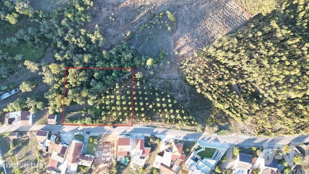Terreno para construção em Pelariga