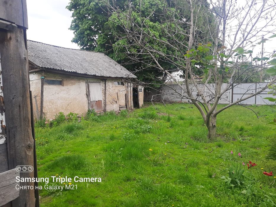 Помешкання в селі Мрин Ніжинського району.