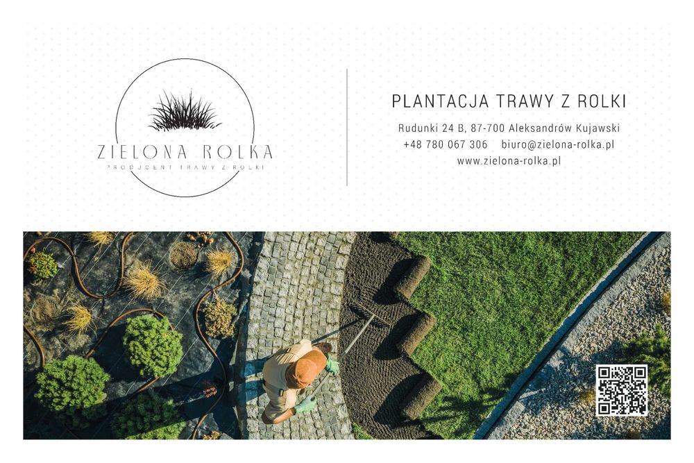 Trawa z rolki 1 gatunek, trawnik z transportem, zamówienia online