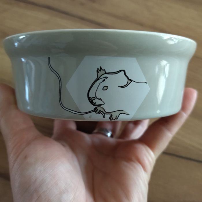 Miska ceramiczna dla świnki morskiej