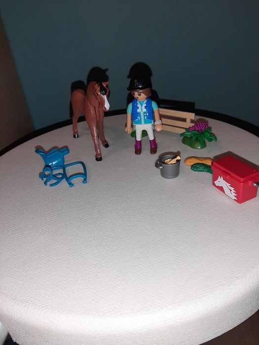 Zestaw playmobile-konie