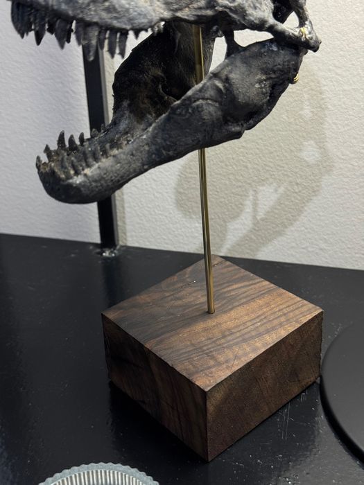 T-Rex- réplica em miniatura de crânio de dinossauro