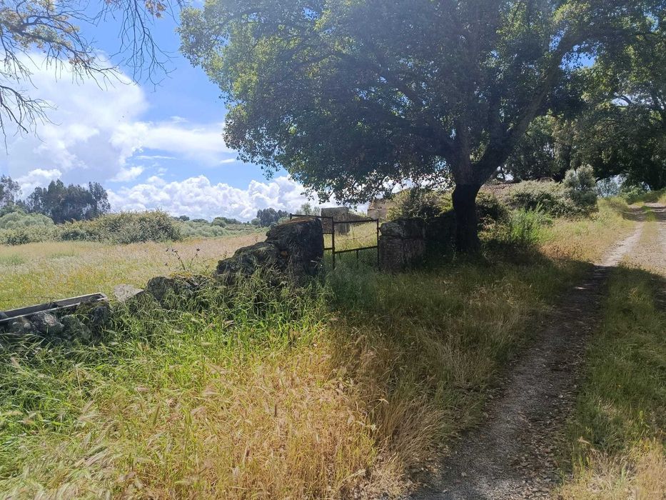 Terreno Ideal para Refúgio de Campo, 7 hectares , Nisa