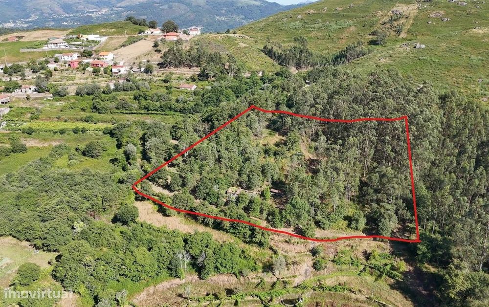 Quinta com 2 Hectares e Casa em Pedra para Recuperar em Gomide, Vila V