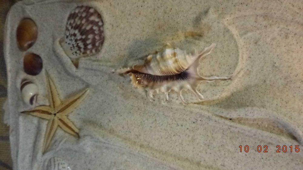 Quadro decorativo com motivos de praia em relevo