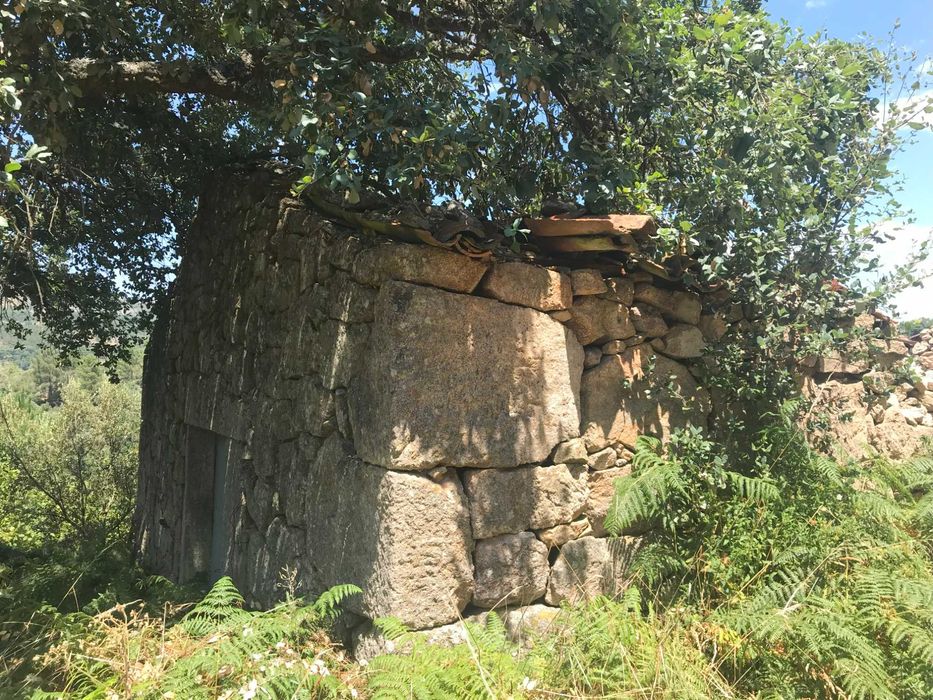 Conjunto de Terrenos Rústicos e Urbanos para Venda