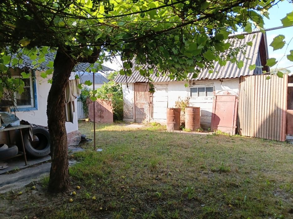 Продам цегляний будинок 80кв.м с. БЕРЕЗІВКА 15км. від ЖИТОМИРА
