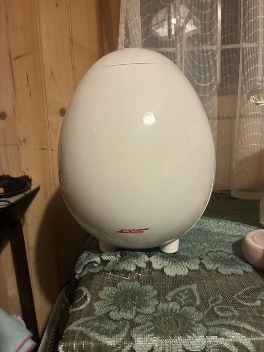Inkubator do jaj gadów