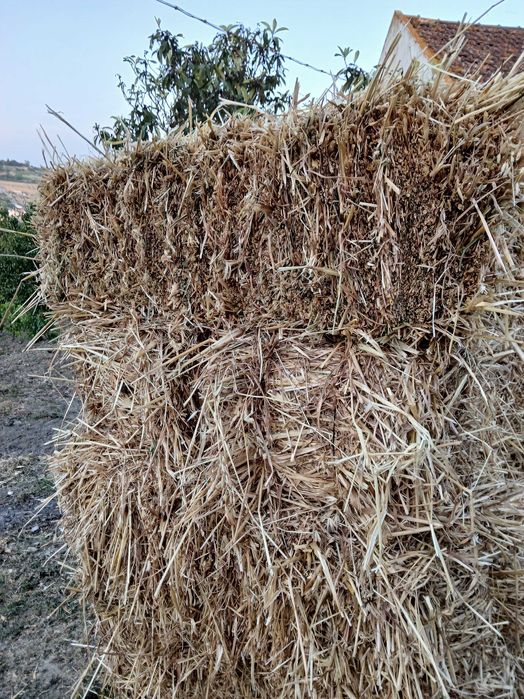 Fardos palha mix de aveia, trigo triticale, ervilhaca e azevém de 2025