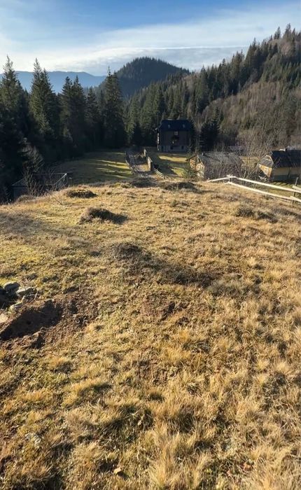 Приватна діоянка межує з лісом та струмком .