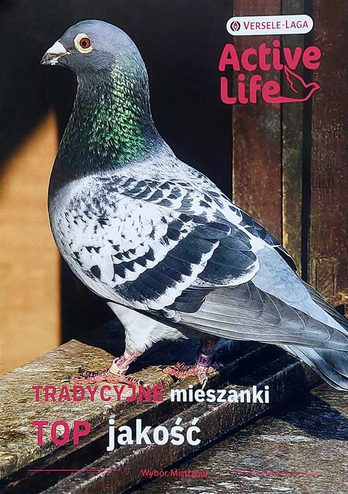 Mieszanki dla gołębi lotowe Versele Laga