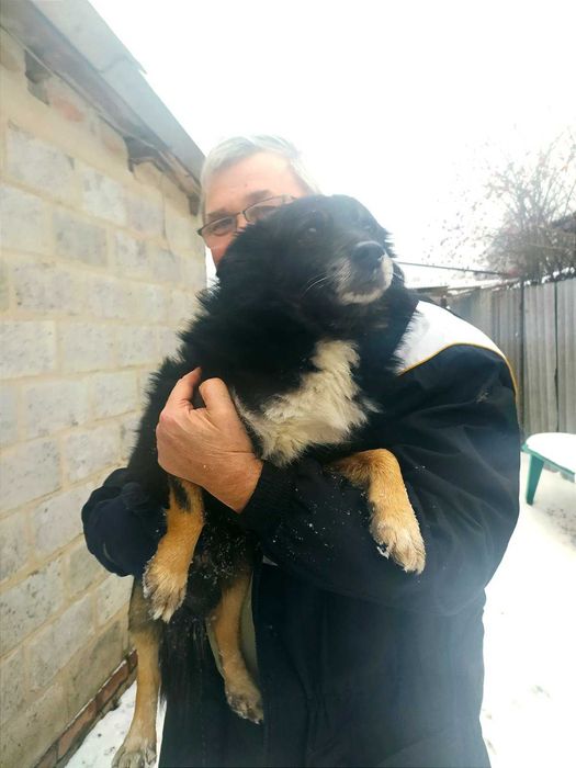 евакуація тварин з Харкова