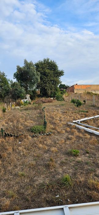 Terreno rústico em salreu, Estarreja