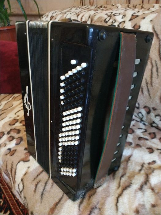 Баян Кримінне чорного кольору