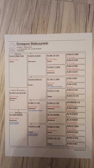 Samiec MTM pałka