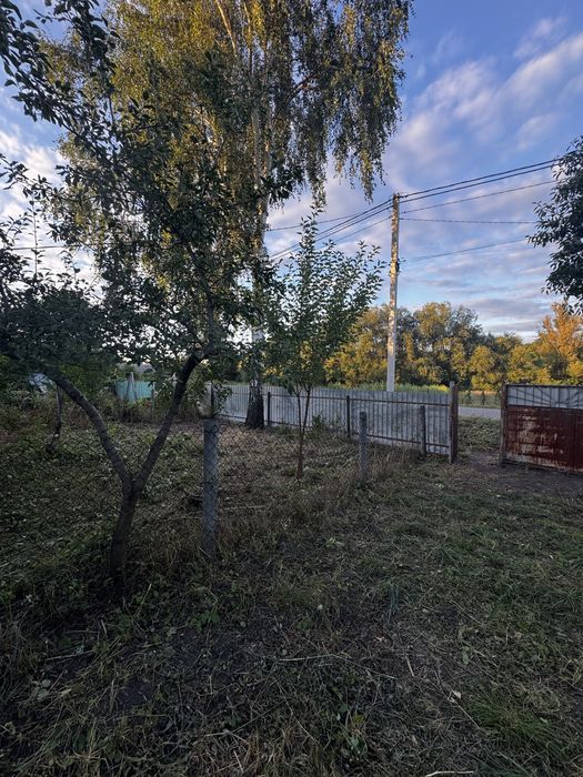 Продаж Будинок с. Кодня 50 сот землі