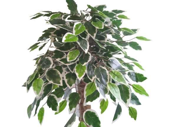 Fikus Sztuczne Drzewko Beniamin Benjamin Kwiat 100