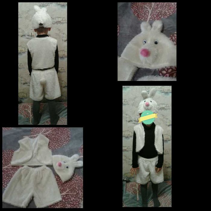 Прокат дитячих карнавальних костюмів