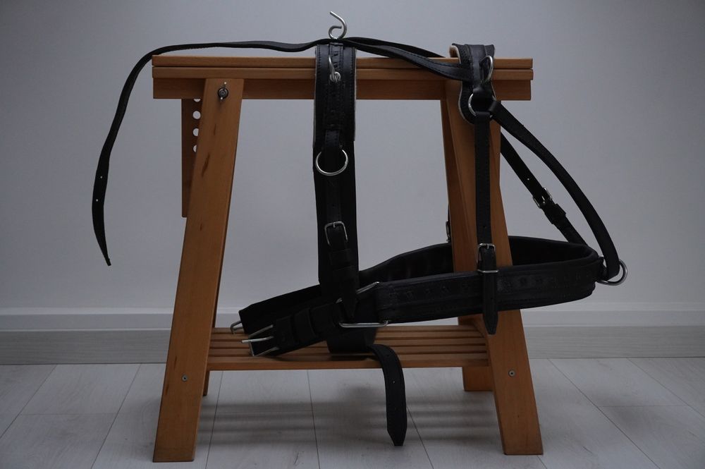 Uprząż puszorek szory skórzane