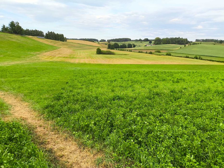 Działka budowlana Połęczyno - Widok 3