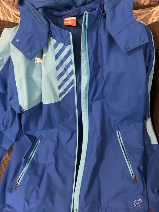 Вітрівка Puma на осінь