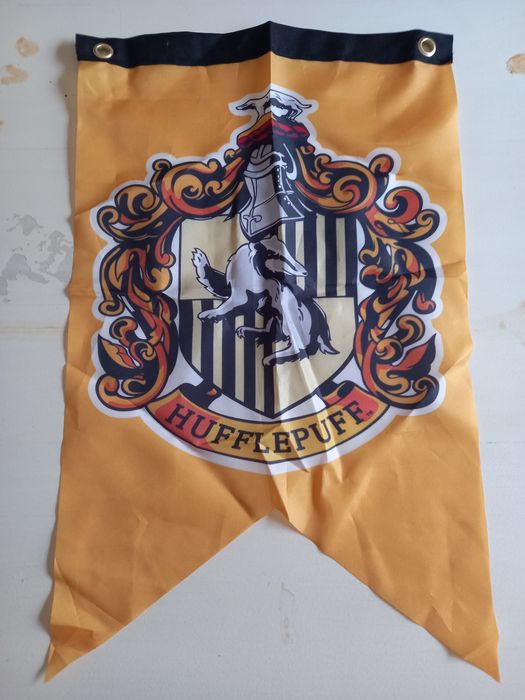 Conjunto Harry Potter