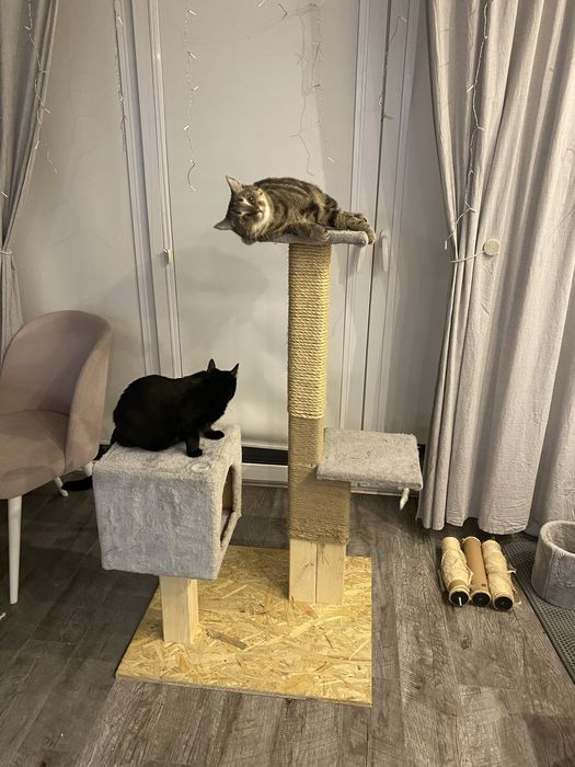 Drapaki,domki dla kota