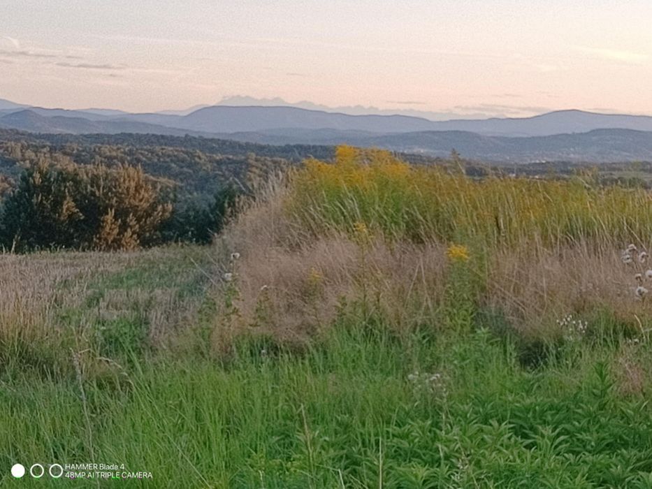 Dom z jacuzzi nocleg pokój do wynajęcia wypoczynek w spokojnej okolicy