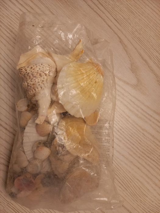 Muszle ozdobne..