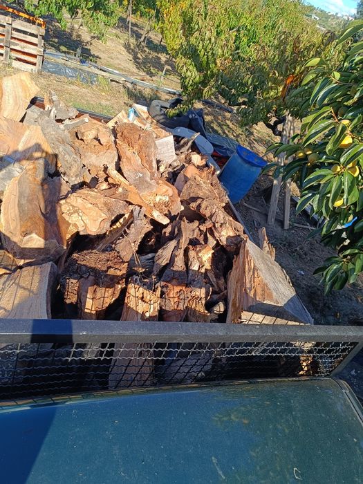 Vendo lenha com saca pinha oferta por m3