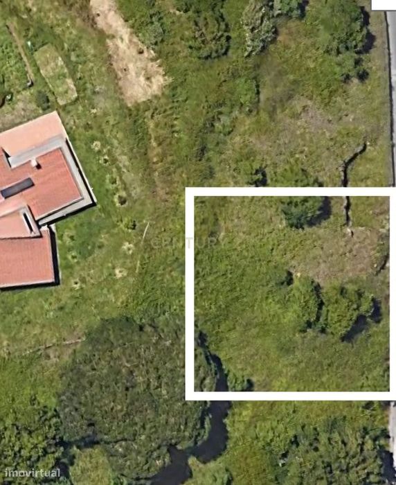 Terreno Rústico em Sintra: Localização Privilegiada e Tranquila- Almar