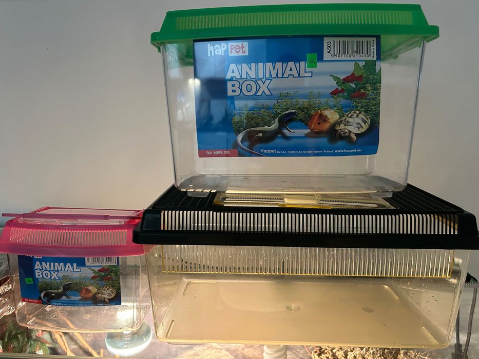 Terrarium 140x60x50 + szafka | pełne wyposażenie.