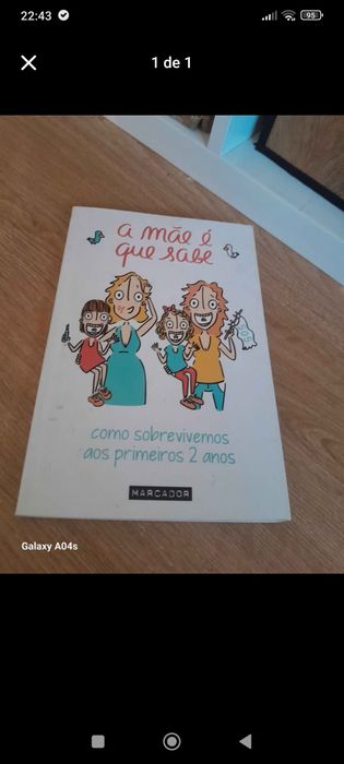Livro "A mãe é que sabe"