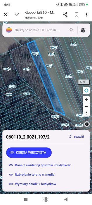 Działka leśna, las brzozowy 45 ar