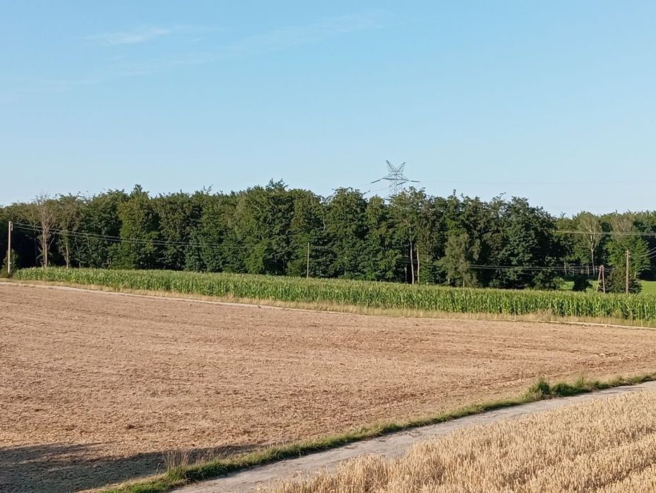 Działka Siedlisko Działka siedliskowa