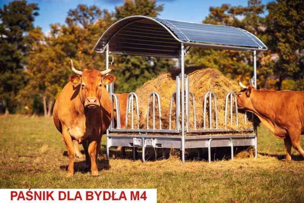 Paśnik dla koni bydła krów opasów alpak