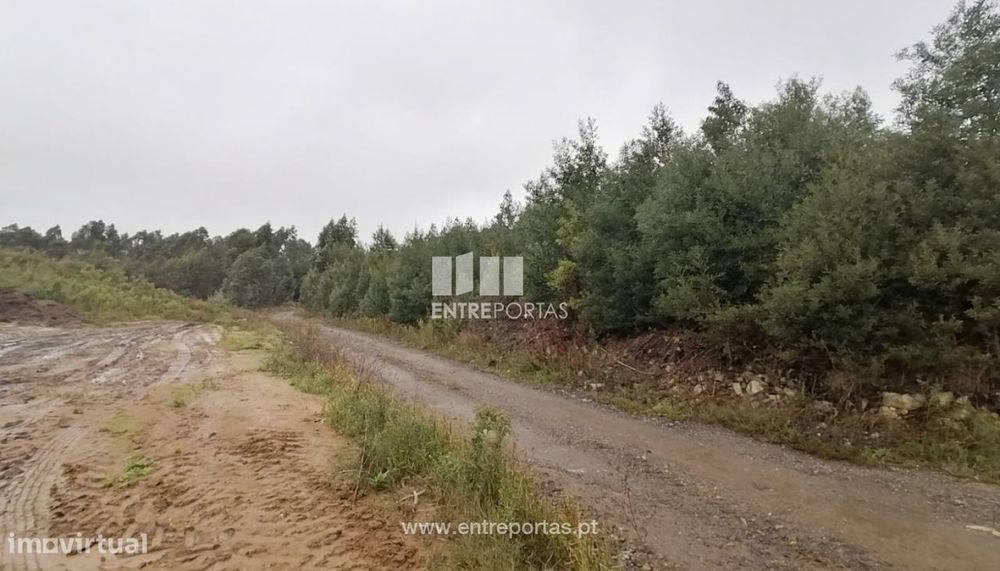 Venda de Terreno florestal com 20 668 m2, Vairão, Vila do Conde