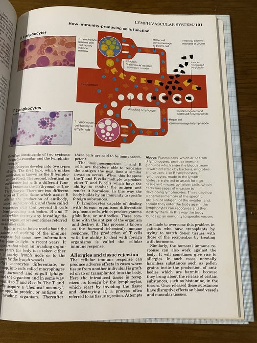 Livro Atlas of Anatomy