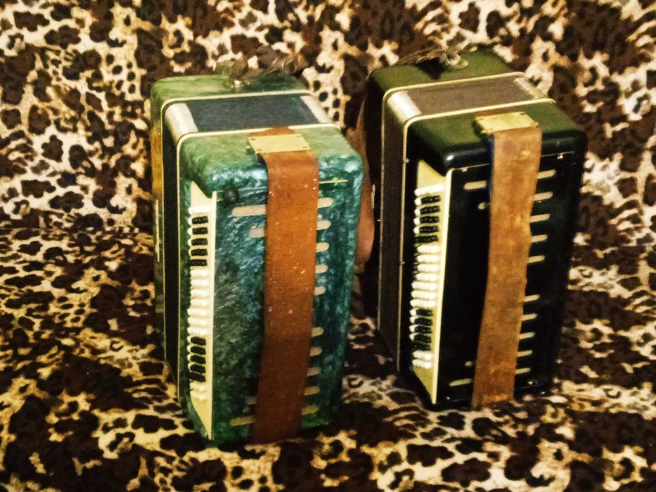 Баян "Украина" зелёный